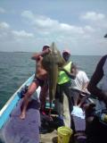 Séjours pêche + éco-tourisme dans le delta du Saloum