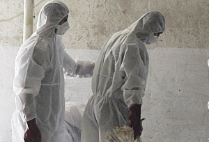 Grippe H1N1 S&eacute;n&eacute;gal
