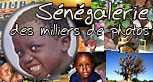 Photos du S&eacute;n&eacute;gal