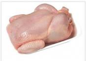 Vente poulets de chair