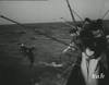 1957 : Pêche et étude du thon à Dakar Sénégal - 11095 vues