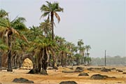 Rives du fleuve Casamance  Coubalane