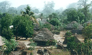Diembereng dans la brume matinale