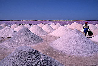 Tas de sel au bord du lac rose.