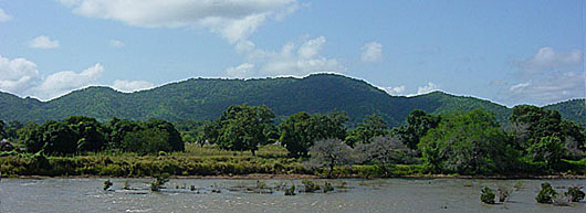Niokolo Koba Parc National