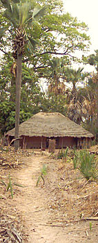 Une maison � Oussouye