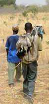 Guides de chasse au Sénégal