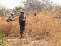 Chasseurs S&eacute;n&eacute;gal