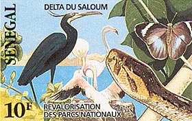 Faune du S&eacute;n&eacute;gal
