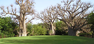 Golf de Saly