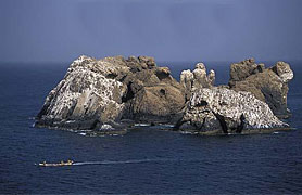 Parc national de la Madeleine Dakar S&eacute;n&eacute;gal