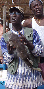 P&ecirc;che au S&eacute;n&eacute;gal