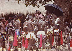 F�te diola animiste en Casamance