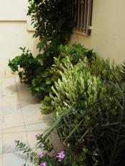 Villa bien située à la cité Sagef3 Kounoune près de Rufisque:  une bonne affaire !