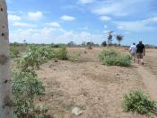 Terrain domaine national