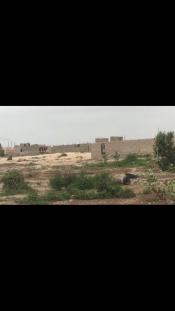 5 terrains de 150m2 a keur Ndiaye lo