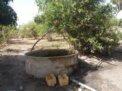 Verger et Poulailler a Beer / Bayakh