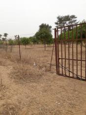 Verger  de 1ha 400 a vendre a bayakh