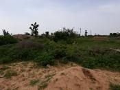 Terrain de 2ha et démi a niague