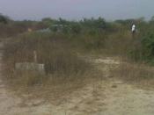 Terrain de 2ha et démi a niague