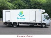 Camion frigorifique diesel manuel