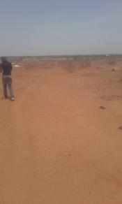 Terrain de 1ha a nguékhokh