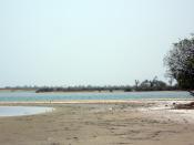 880m2 Ndangane, 350m de la mer :