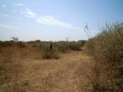 5246 m2: 11 000 Euros