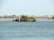 Exotique ! : 2530 m2