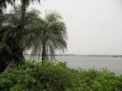 Dépaysant ! 1000m2 :