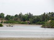 560m2 charmes Africains !