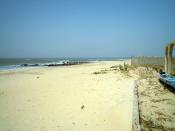 1 ilôt entre mer et lagune !