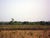 5 500m2 à 9 500 ? !