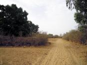 900m2+1 beau manguier à 10 622 ?