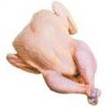 Vente de poulet