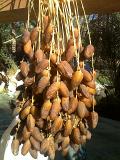 Dattes tunisien