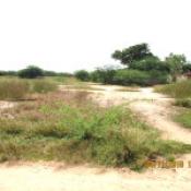 Empreinteimmoservices.com      terrain a mbodjene plage