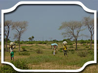 S&eacute;n&eacute;gal du centre et Ferlo
