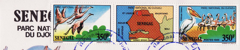 Parc aux oiseaux du Djoudj