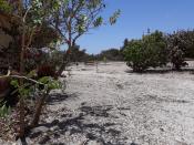 Des terrains de 150m2 a lac rose