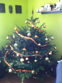 Photo de Jó Sarkon Viharvert