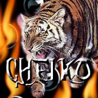 Photo de Cheikh Gueye