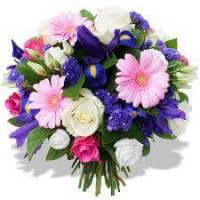 Photo de Py Elvine05