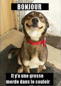 Photo de Mousse Piment