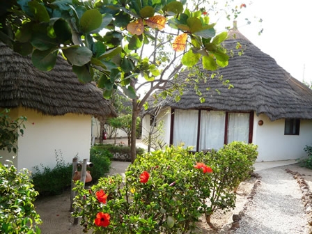 Campement Tapha Coquillage