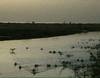 La lagune de Mbodiène - 20492 vues